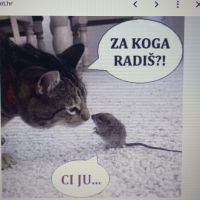 JOSIP